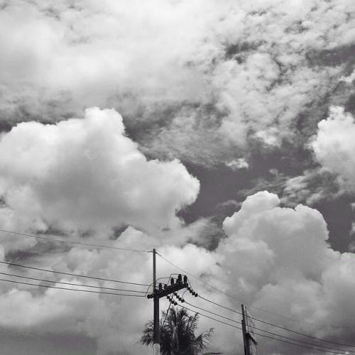 สมาชิกหมายเลข 5290056