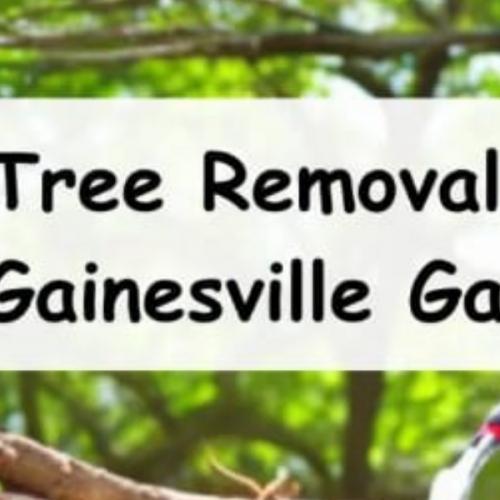 สมาชิกหมายเลข 7775155