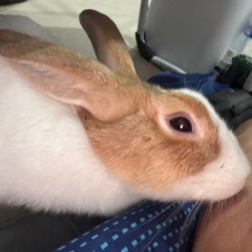 สมาชิกหมายเลข 1187480