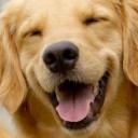 สมาชิกหมายเลข 2352742