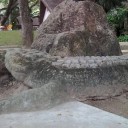 สมาชิกหมายเลข 3480902