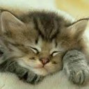 สมาชิกหมายเลข 4130759