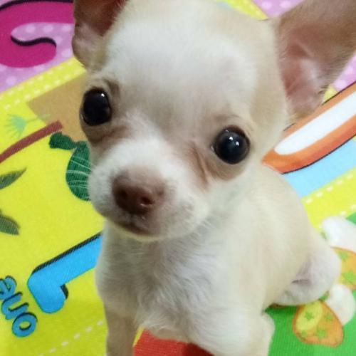 สมาชิกหมายเลข 1253325