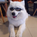 สมาชิกหมายเลข 4084745