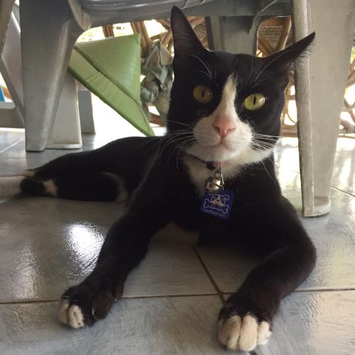 สมาชิกหมายเลข 4553509