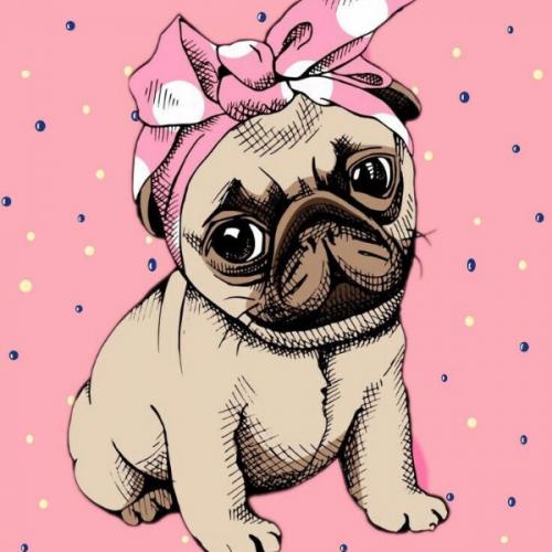 สมาชิกหมายเลข 4553635