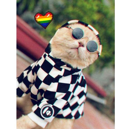 สมาชิกหมายเลข 4562692