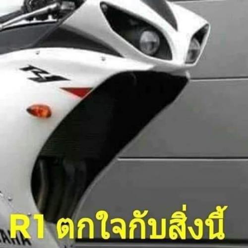 สมาชิกหมายเลข 5290381