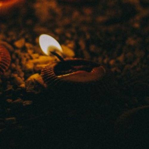 สมาชิกหมายเลข 3520541