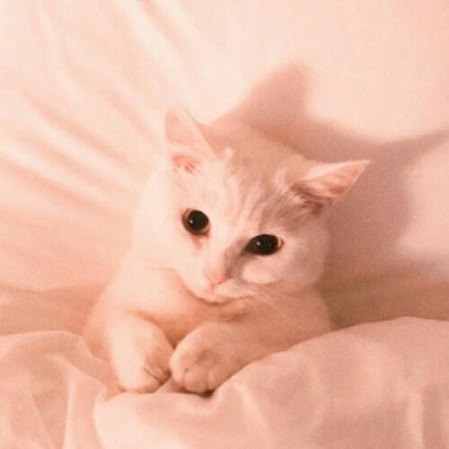 สมาชิกหมายเลข 5741119