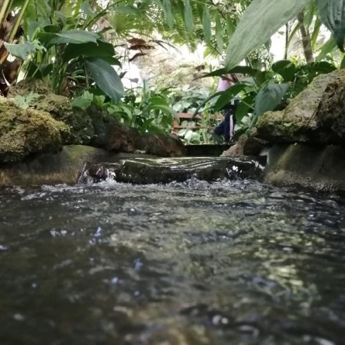 สมาชิกหมายเลข 5741532