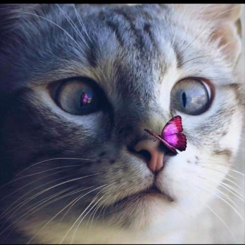 สมาชิกหมายเลข 1766766