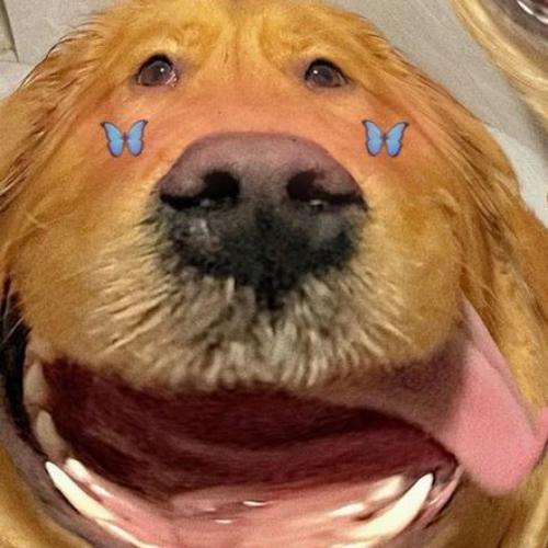 สมาชิกหมายเลข 6559589