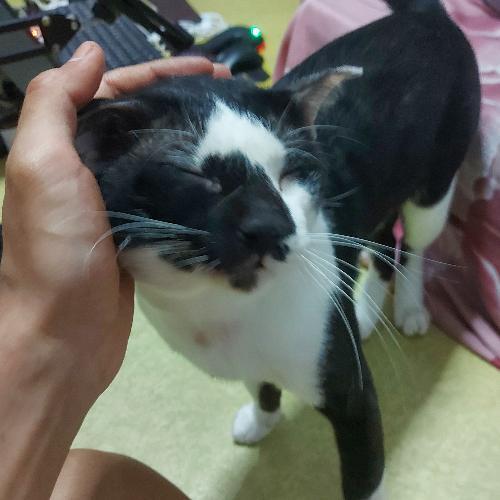 สมาชิกหมายเลข 7008861