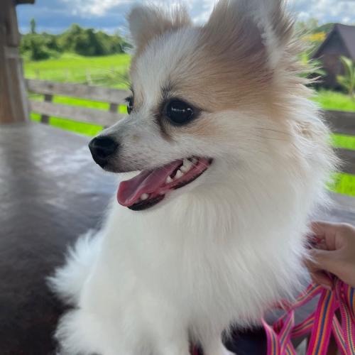 สมาชิกหมายเลข 3278393