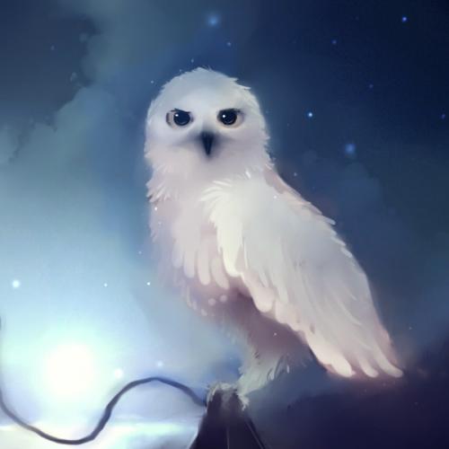 สมาชิกหมายเลข 6190474