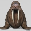 สมาชิกหมายเลข 3668940