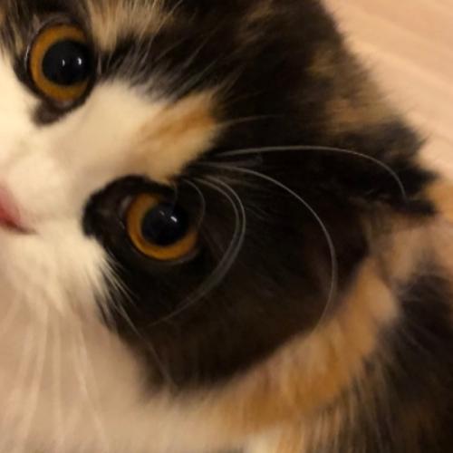 ชีวิตที่แสนดี๊ดี