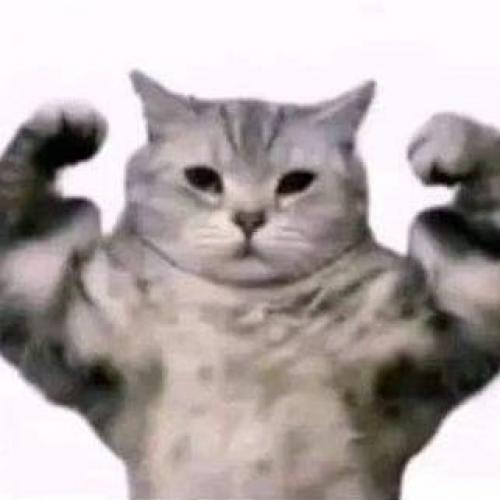 สมาชิกหมายเลข 5411372