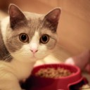 สมาชิกหมายเลข 3545580