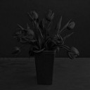 สมาชิกหมายเลข 3469372