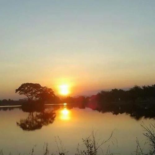 สมาชิกหมายเลข 4081383