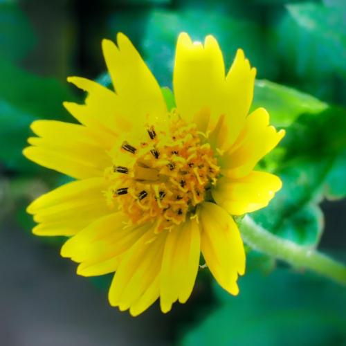 สมาชิกหมายเลข 4069347