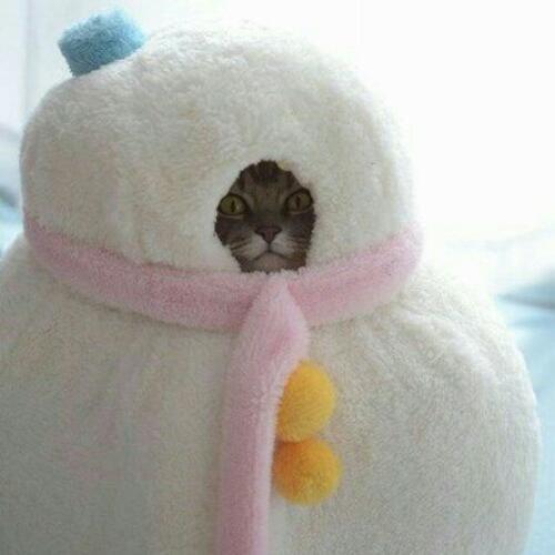 สมาชิกหมายเลข 5291126