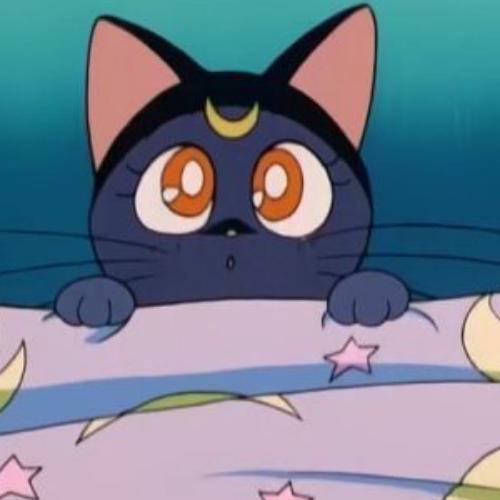 สมาชิกหมายเลข 5741071