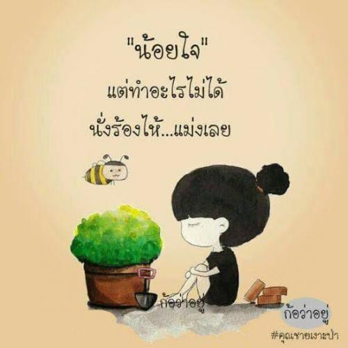 สมาชิกหมายเลข 5742365