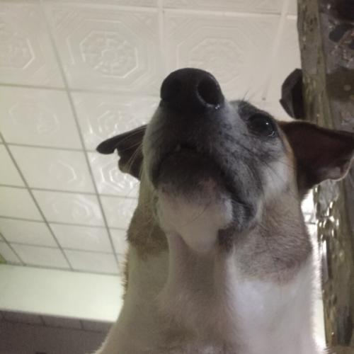 สมาชิกหมายเลข 5742672