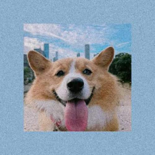 สมาชิกหมายเลข 5742752