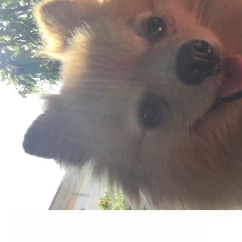 สมาชิกหมายเลข 5871094