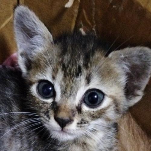 สมาชิกหมายเลข 7010147