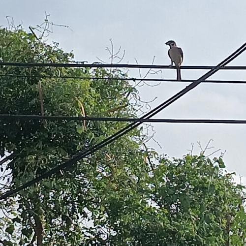 สมาชิกหมายเลข 7010226