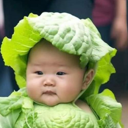 สมาชิกหมายเลข 4196692