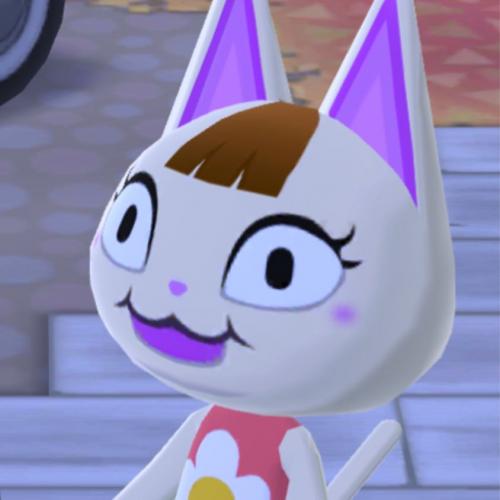 สมาชิกหมายเลข 5332704