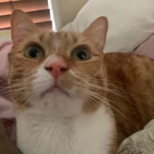 สมาชิกหมายเลข 7777851