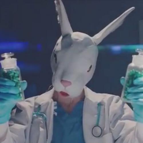 สมาชิกหมายเลข 4132049