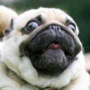 สมาชิกหมายเลข 4276624