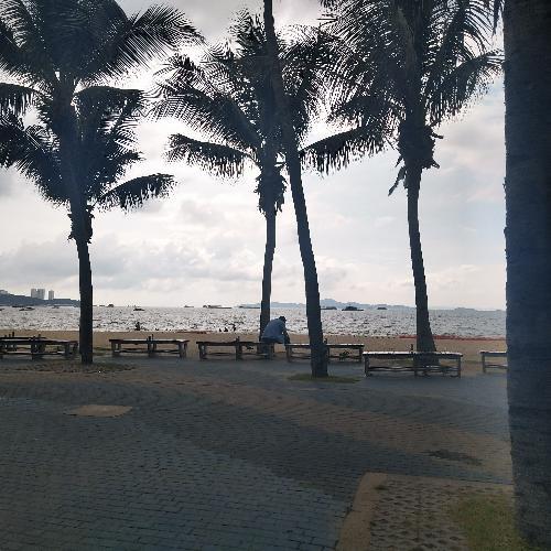 สมาชิกหมายเลข 2540743