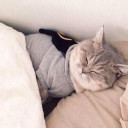 สมาชิกหมายเลข 797939