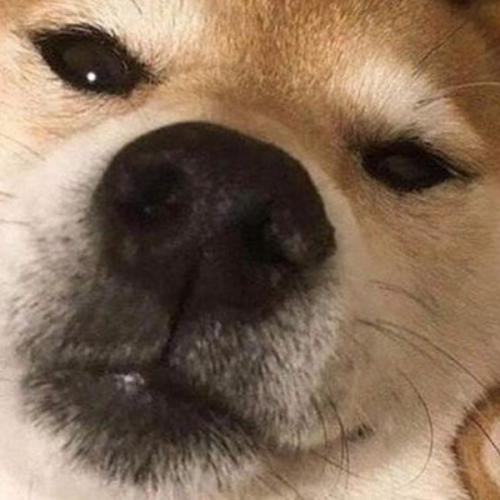 สมาชิกหมายเลข 4733493