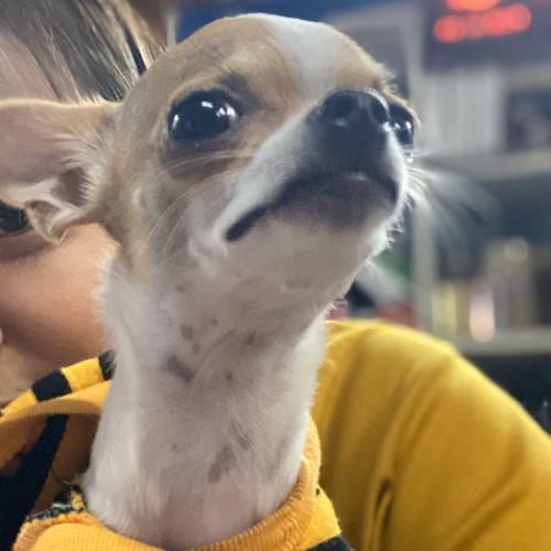 สมาชิกหมายเลข 5074304