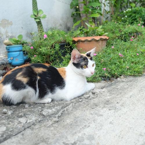 สมาชิกหมายเลข 5733342