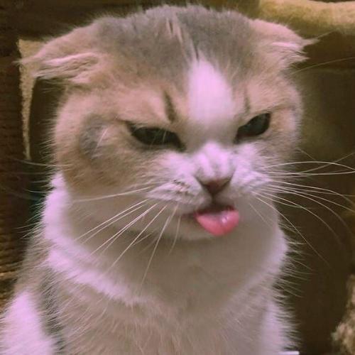 สมาชิกหมายเลข 6329757