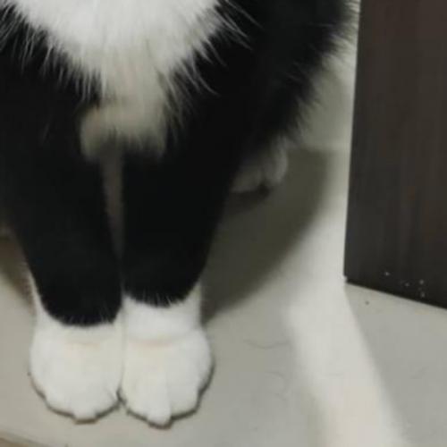 สมาชิกหมายเลข 2204706