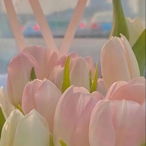 สมาชิกหมายเลข 7778339