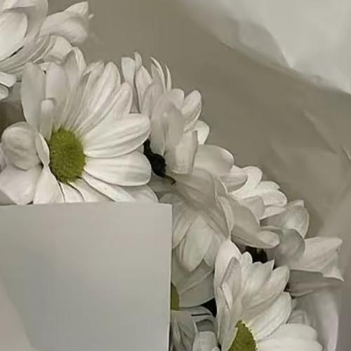 สมาชิกหมายเลข 6593862