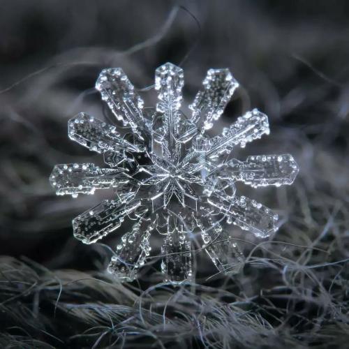 สมาชิกหมายเลข 4130270